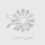 خلاقیت در بافت: سبد قلاب بافی تریکو گربه ای و پنگوئن برای عاشقان بافت سبد وقلاب بافی